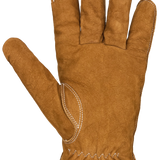 Hunter-Glove-Auclair-Auclair Sports