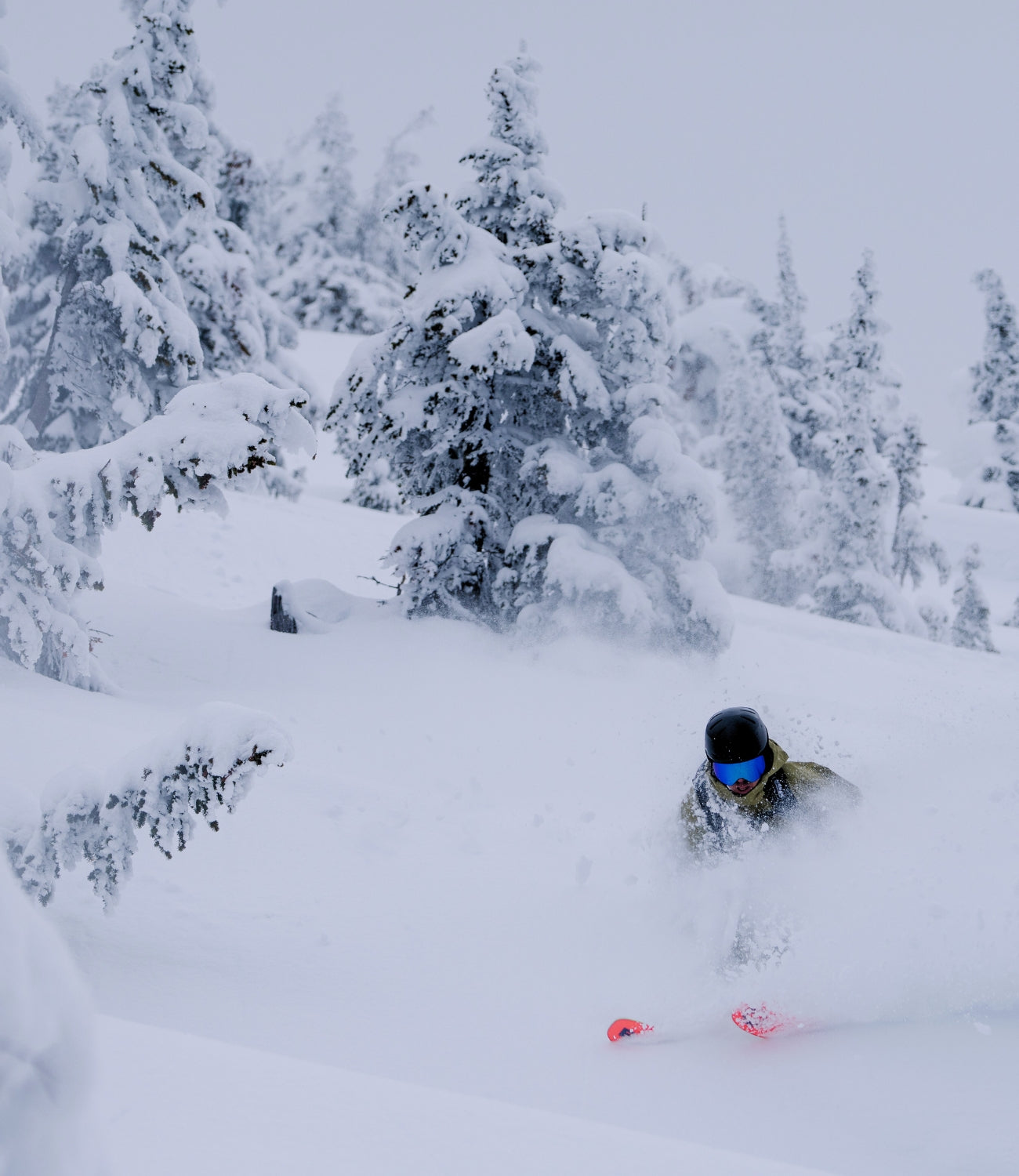 Skier gliding through deep powder snow amidst snow-covered trees on a mountain slope.