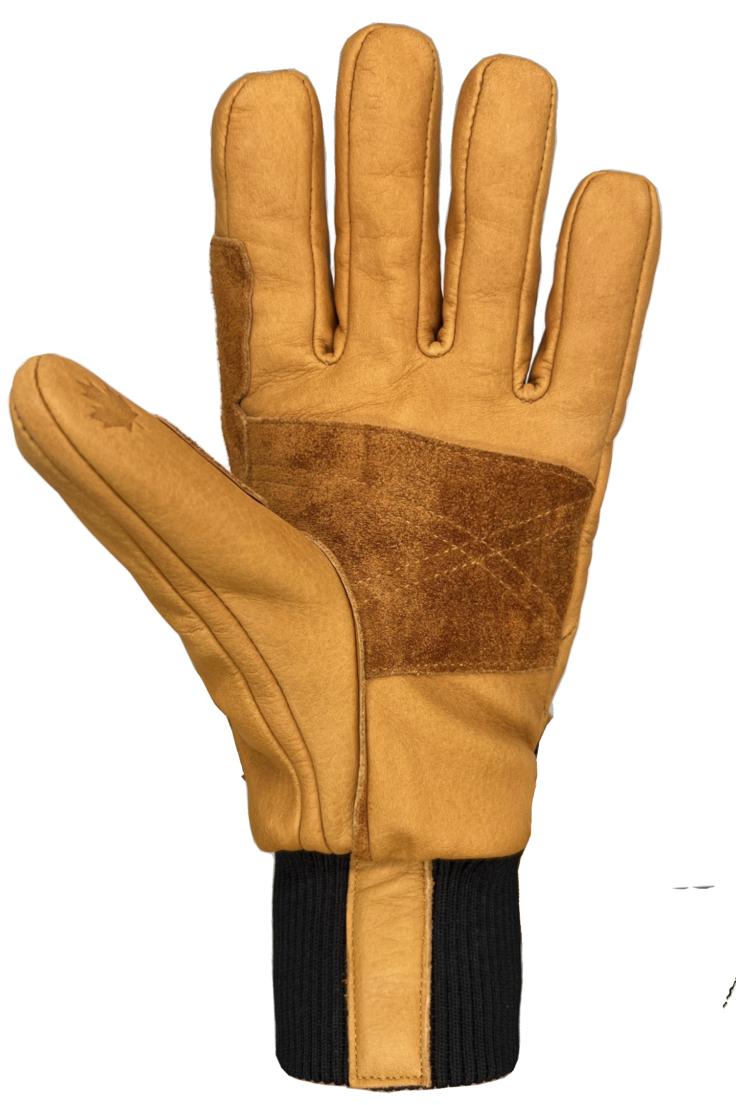 Snow Ops 2.0 Gloves - Men-101-01S3400-Auclair Sports