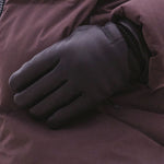 Image de diapositive