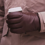 Image de diapositive