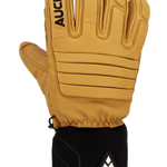 Image de diapositive