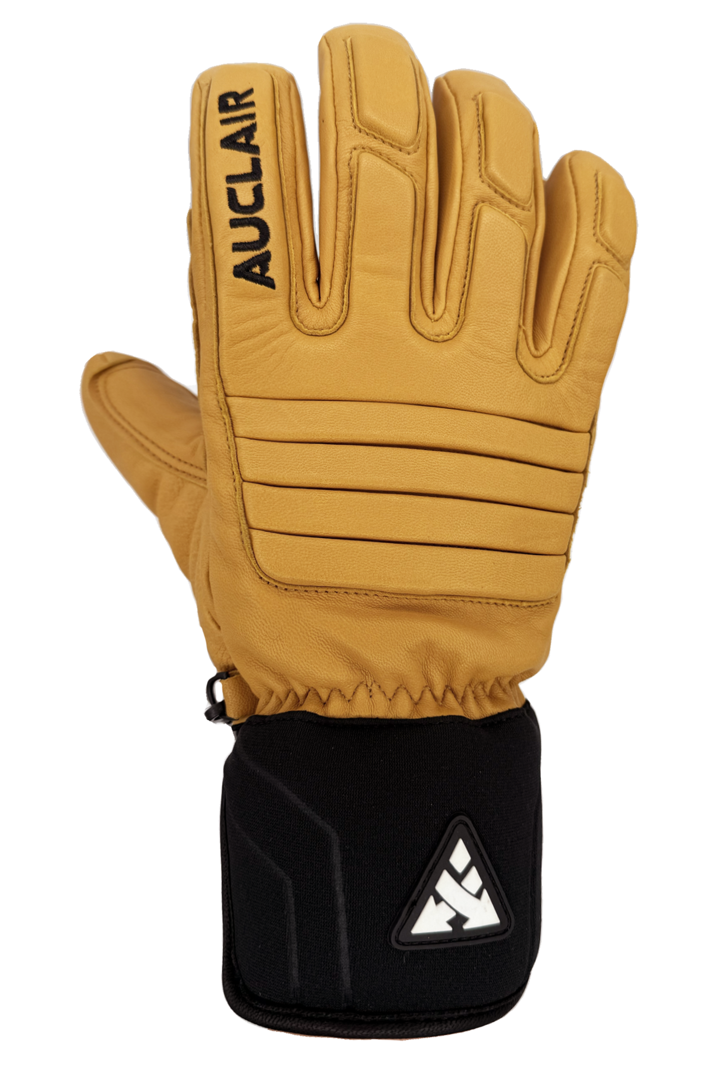 Image de diapositive