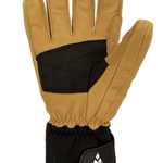 Image de diapositive