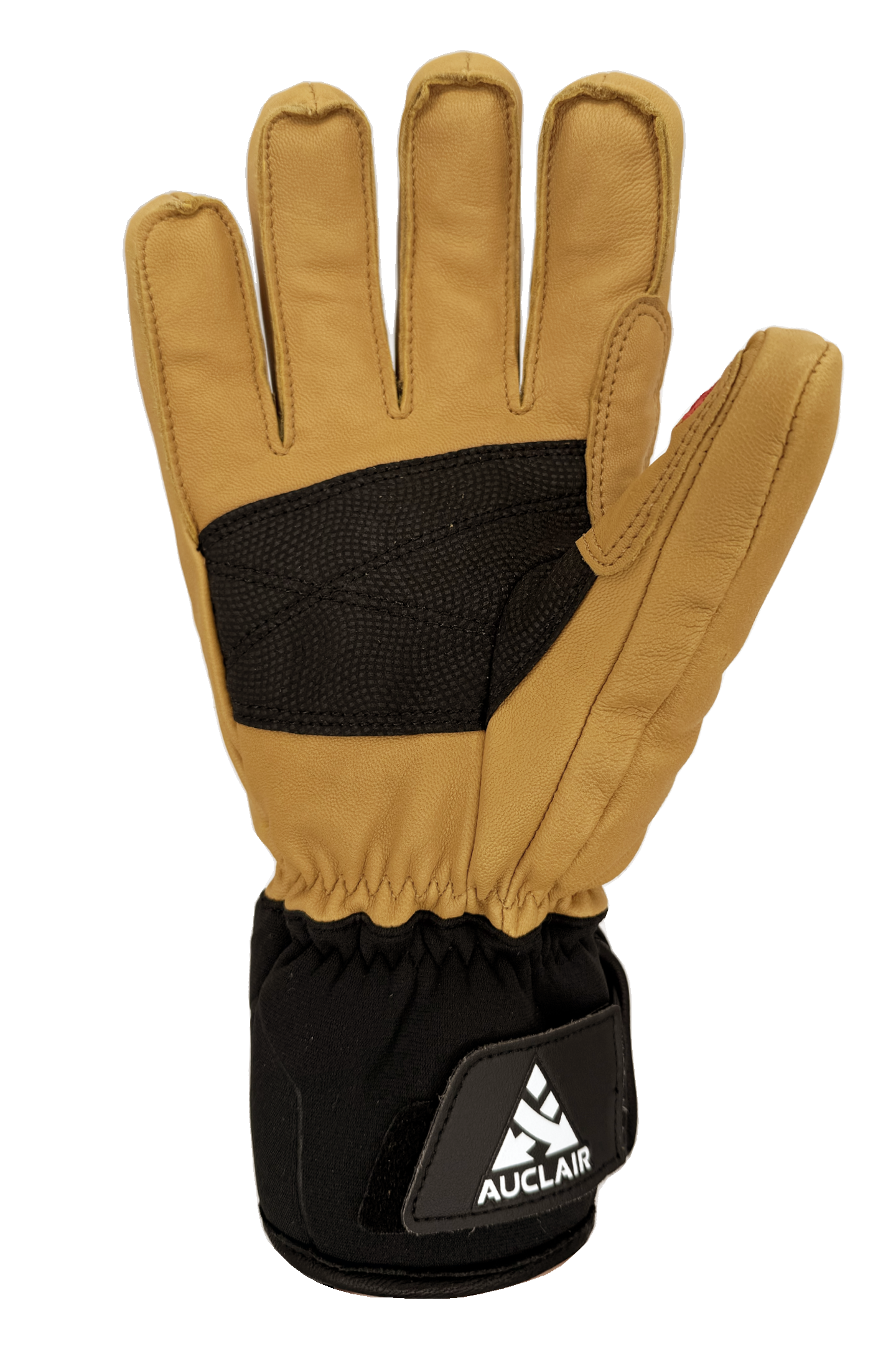 Image de diapositive