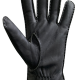 Raoul Gloves - Men-Glove-Auclair-Auclair Sports