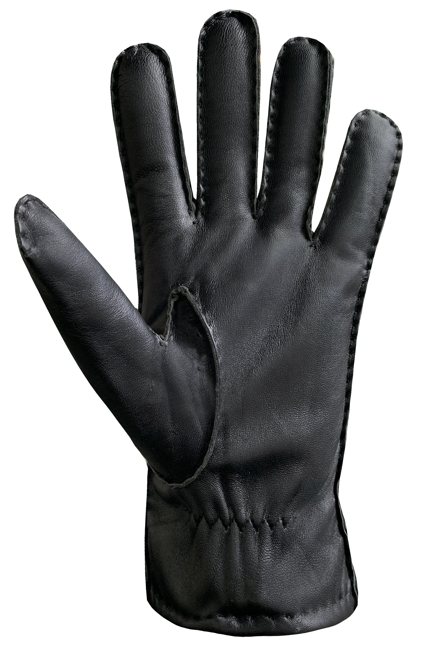 Raoul Gloves - Men-Glove-Auclair-Auclair Sports