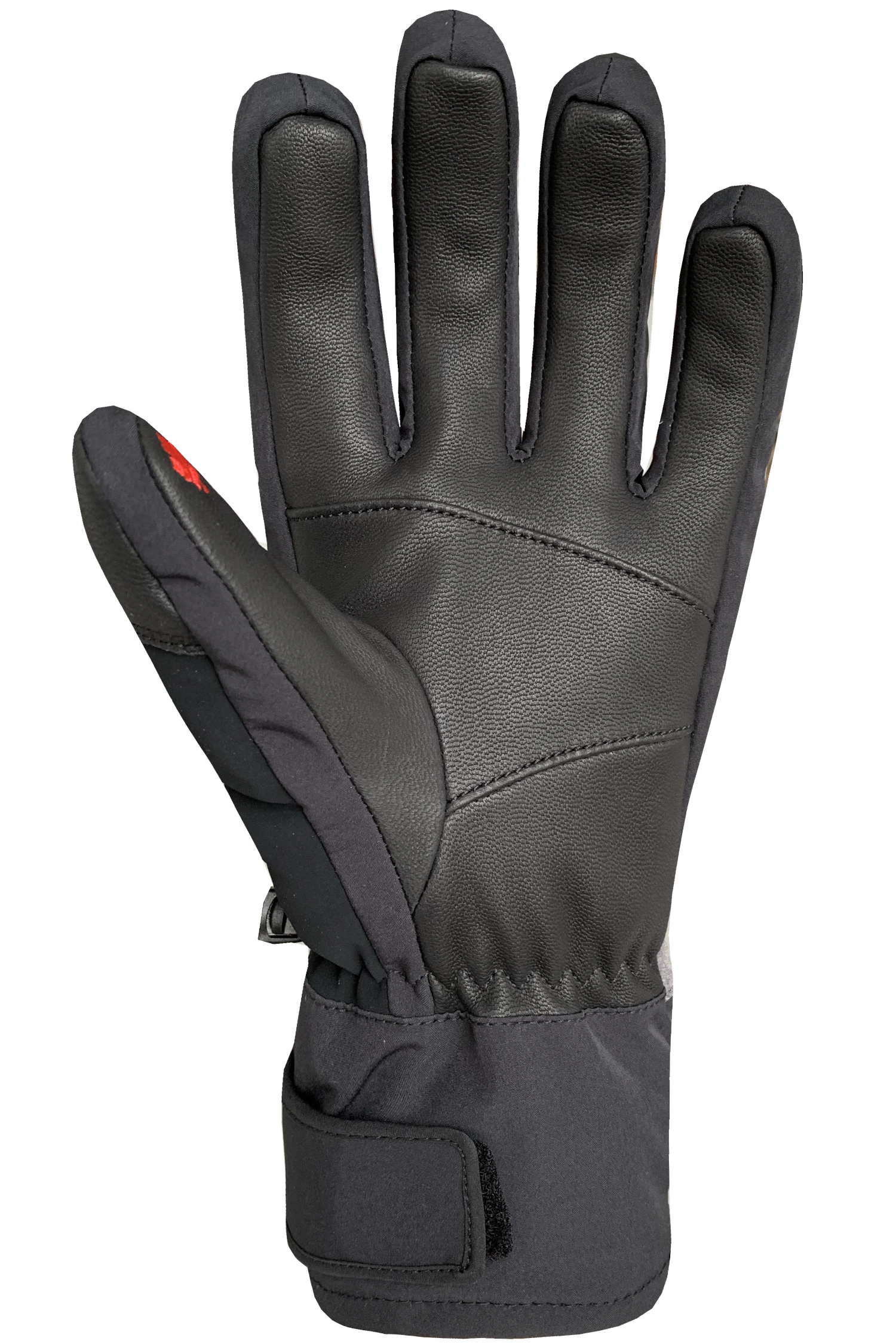 Avalanche Gloves - Adult, Black