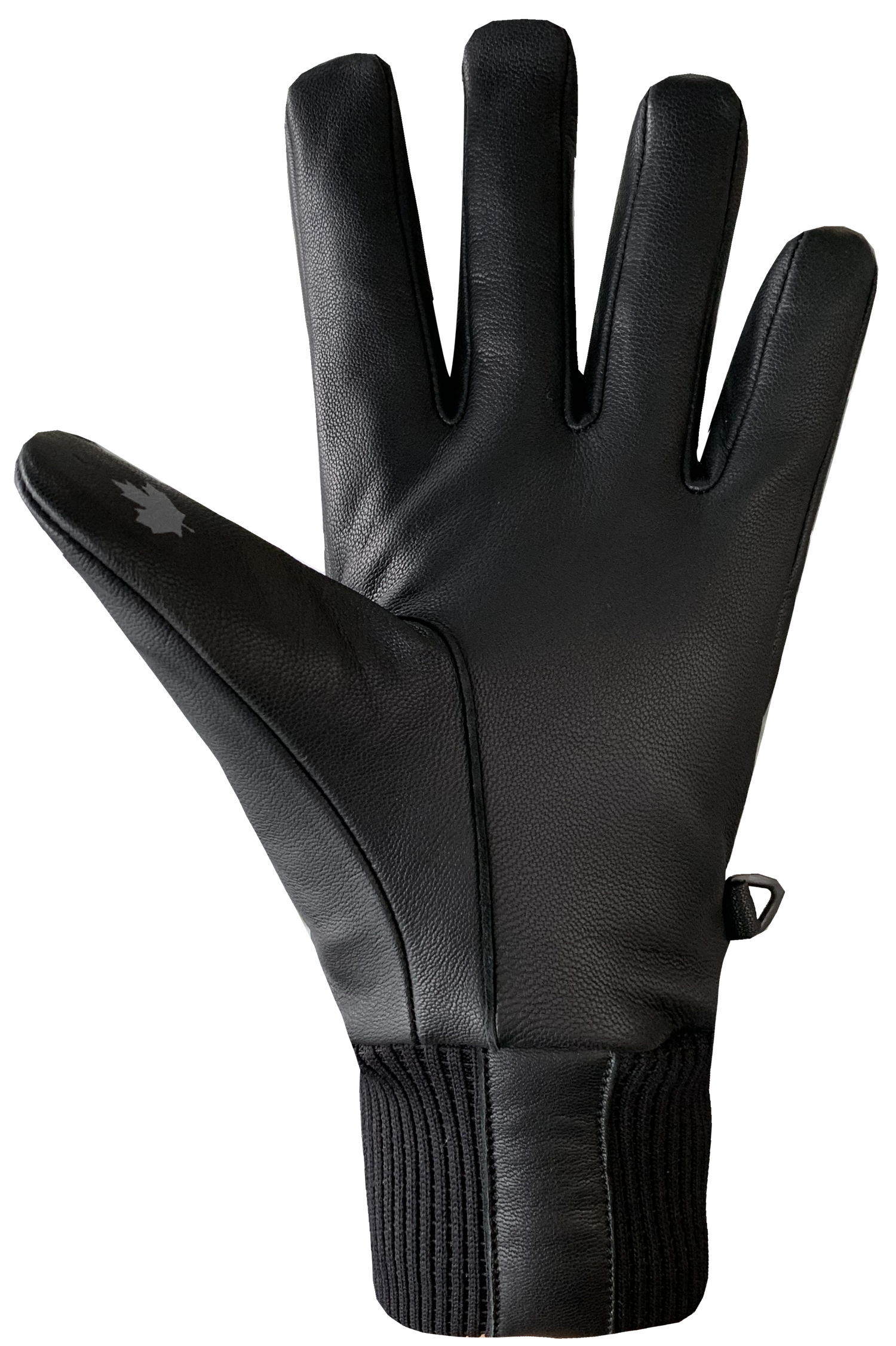 Snow Ops Gloves - Adult, Black