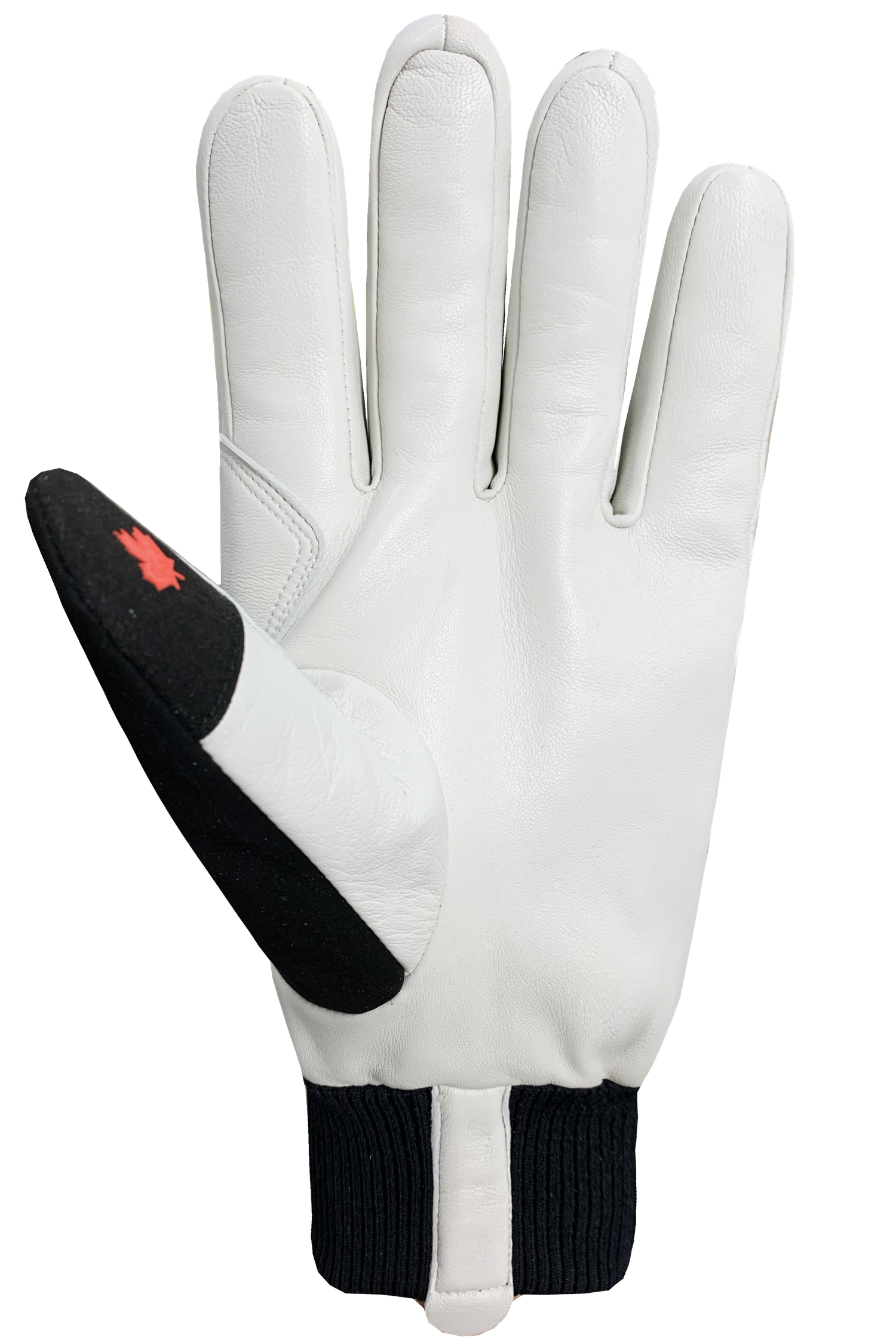 Stormi Gloves - Men-Glove-Auclair-Auclair Sports