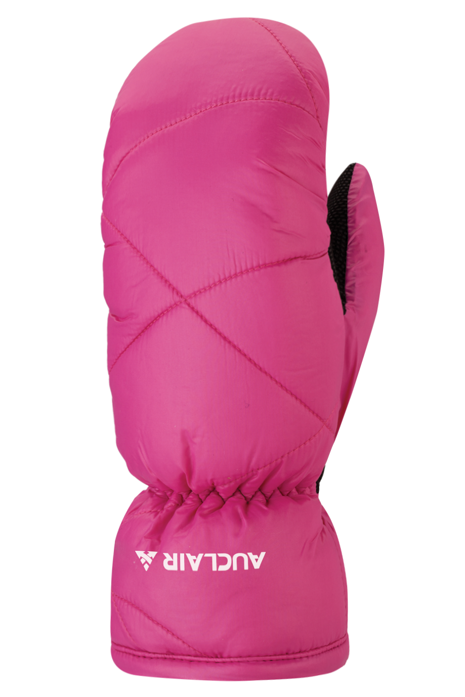 Sugarloaf 2.0 Mitts - Women, Fuchsia