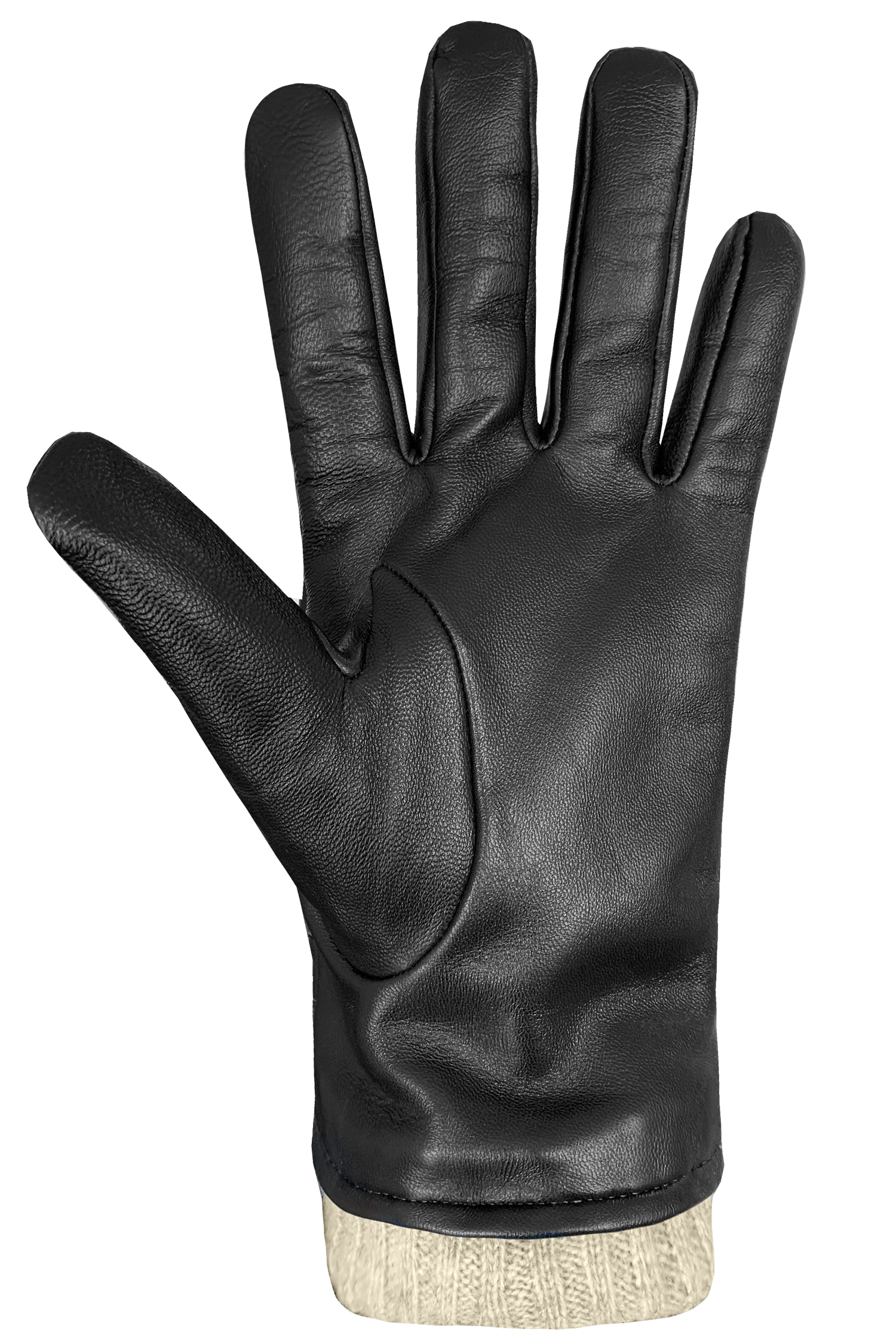 Mens' Dario Gloves by Auclair Glove S / Black/Cognac