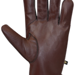 Rodney Gloves - Men (MISSING INFO)-Glove-Auclair-Auclair Sports