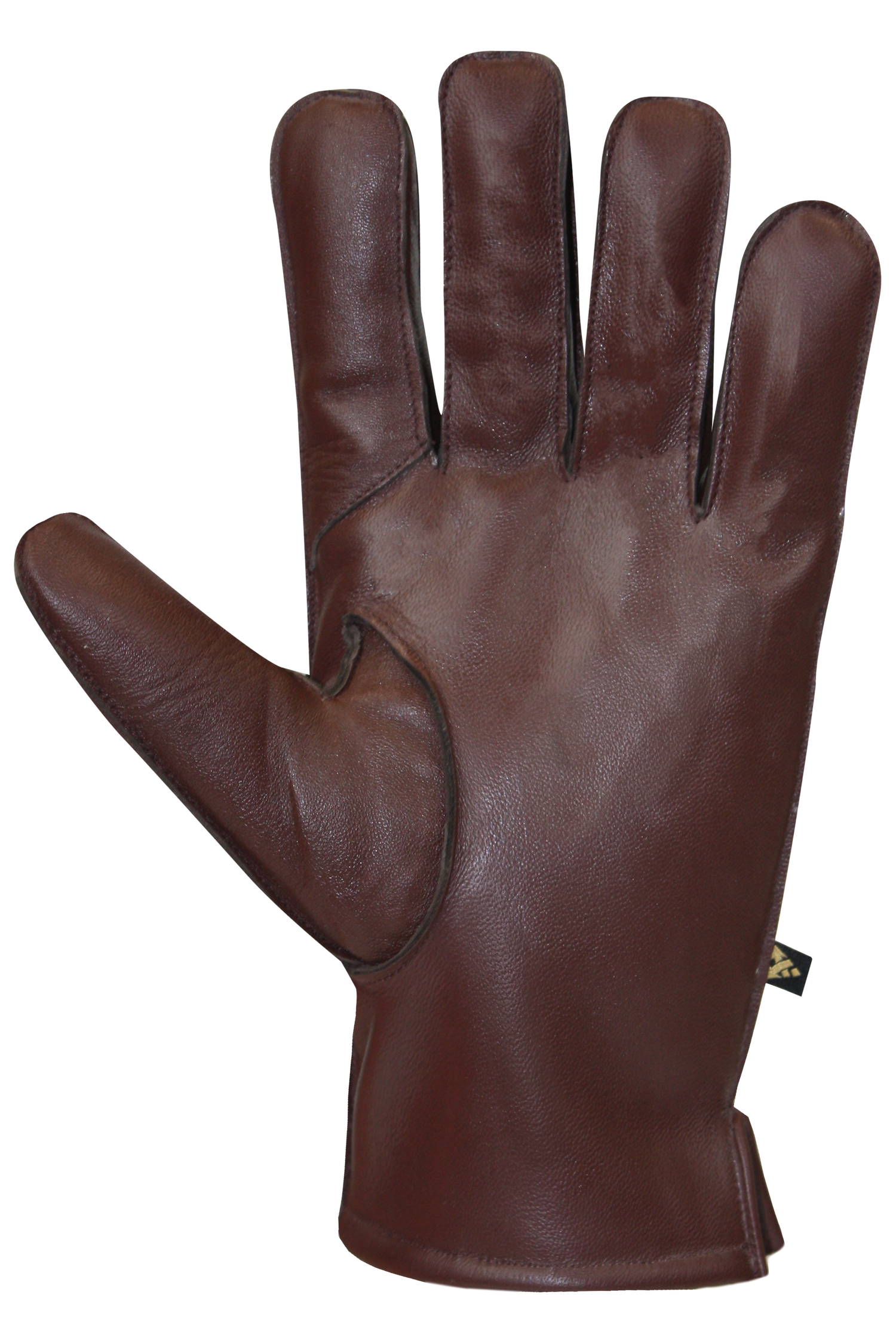 Rodney Gloves - Men (MISSING INFO)-Glove-Auclair-Auclair Sports