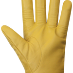 Wayne Gloves - Men-Glove-Auclair-Auclair Sports