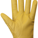 Wayne Gloves - Men-Glove-Auclair-Auclair Sports