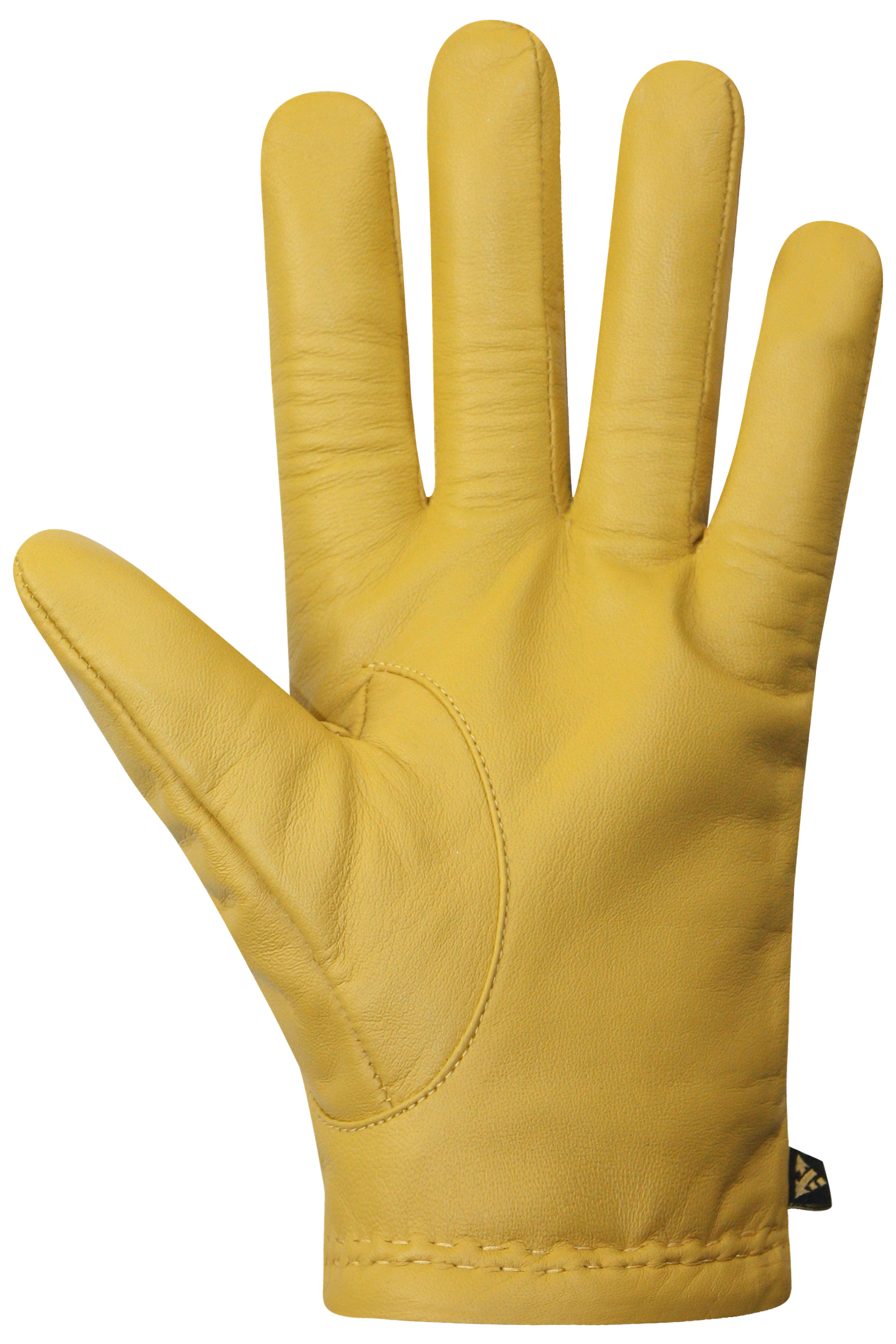 Wayne Gloves - Men-Glove-Auclair-Auclair Sports