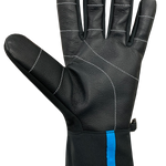 Blizzard Gloves - Adult, Black