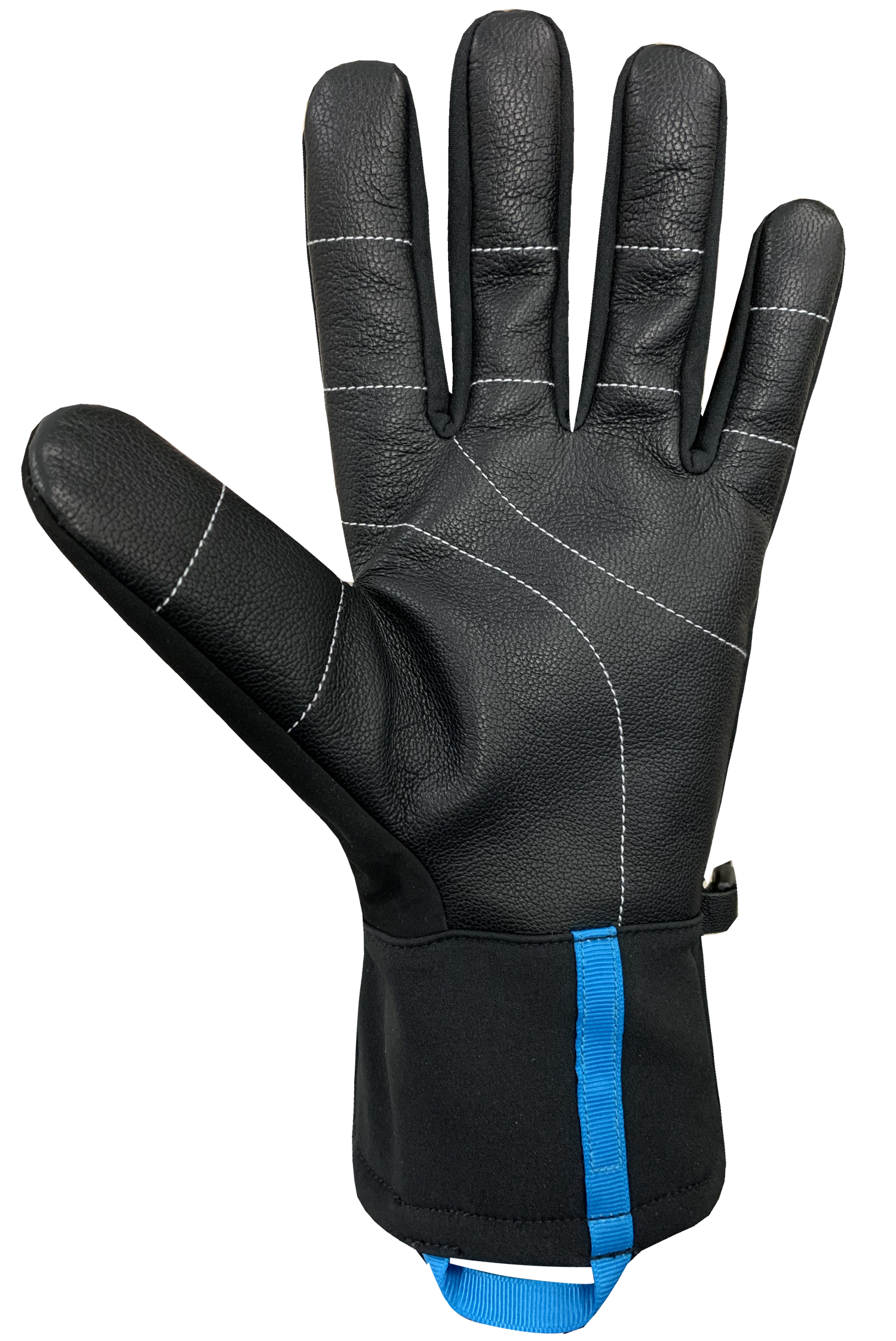 Blizzard Gloves - Adult, Black